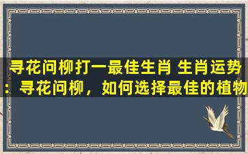 寻花问柳打一最佳生肖 生肖运势：寻花问柳，如何选择最佳的植物？